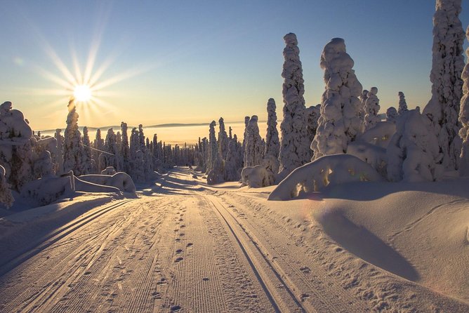 Cross-Country Skiing Guided Tour From Prague - Gear up fast: ski rental plus safety coaching