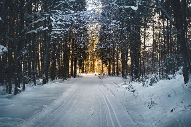 Cross-Country Skiing Guided Tour From Prague - Meet Lucie and Barbora: the coaching that makes beginners stick with it