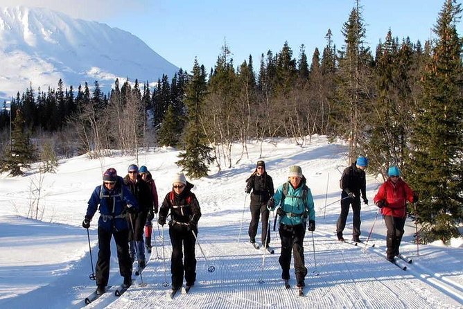 Cross-Country Skiing Guided Tour From Prague - Timing and logistics: what the schedule means for your energy