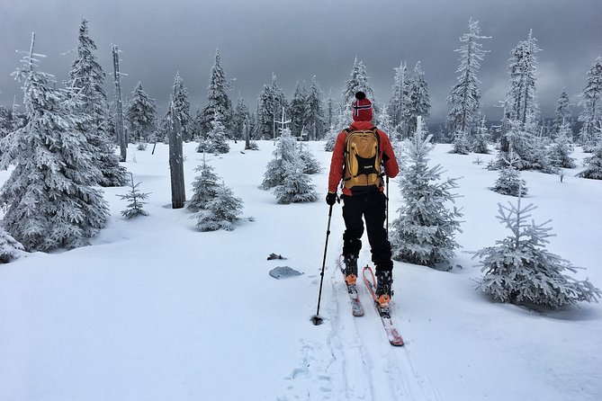 Cross-Country Skiing Guided Tour From Prague - What to bring (and how to avoid the common cold-day mistakes)