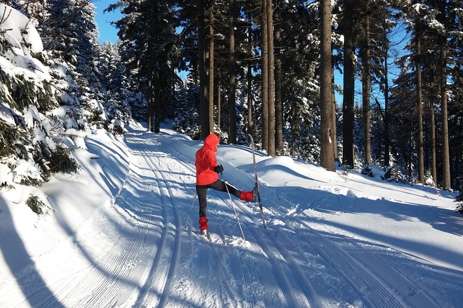 Cross-Country Skiing Guided Tour From Prague - 5 hours on the trails: what skiing in the Jizera Mountains delivers