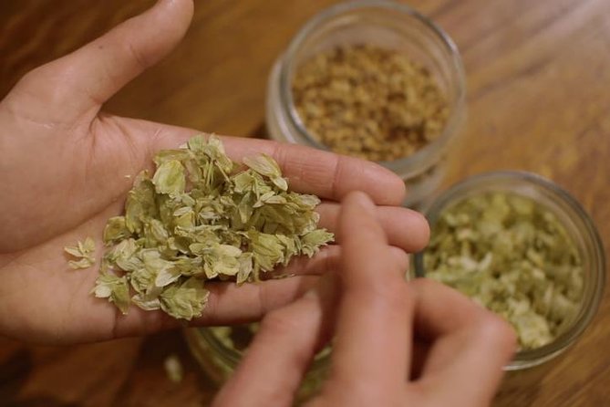 Czech Beer Tasting Experience - Why this 90-minute Czech beer tasting fits Prague nights so well