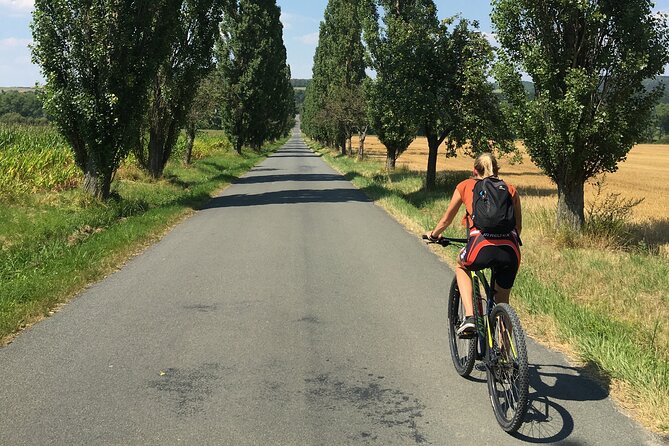 E-Bike Full-Day Trip From Prague: The Mighty Karlstejn Castle - Dobřichovice: The Coffee-and-Cake Reset You Actually Want