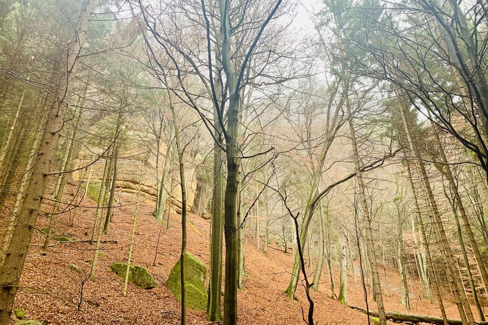 From Prague: Bohemian and Saxon Switzerland Full-Day Tour - Tisa Walls and Narnia sites: the shorter walk with serious stairs (Narnia option)