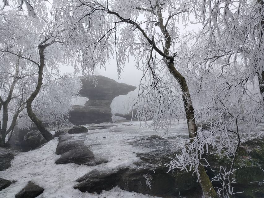 From Prague: Bohemian & Saxon Switzerland Iconic Day Trip - Guide and Driver Team: What Makes Small-Group Feel Better