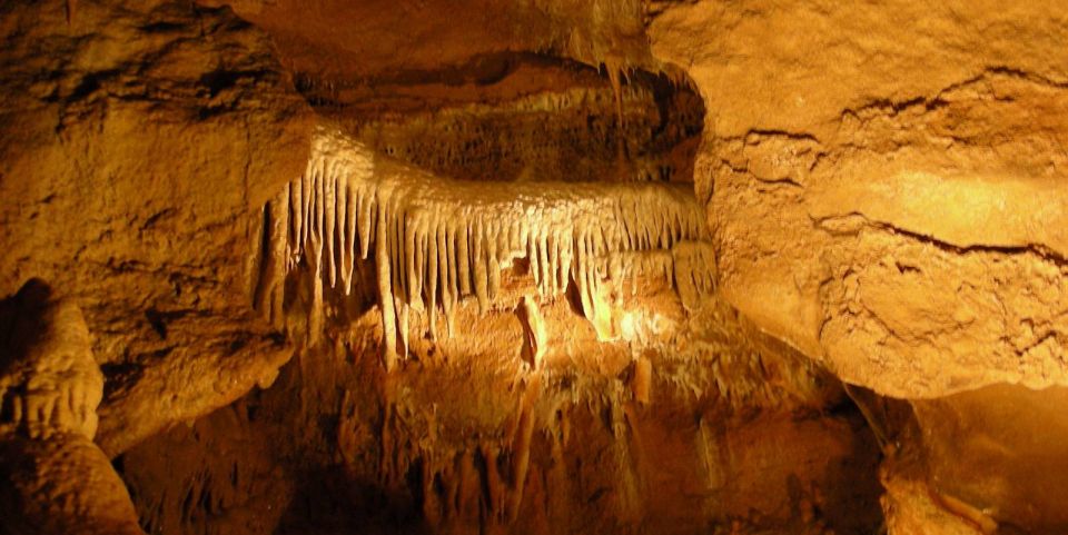 From Prague: Karlštejn Castle & Koněprusy Caves Tour - Who This Day Trip Suits Best