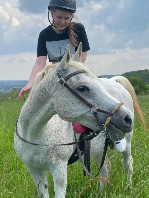Horseback riding tour near Prague - A countryside ride with a safety philosophy that actually fits the setting