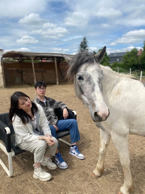 Horseback riding tour near Prague - Getting there: Lucký mlýn 1577 and how to avoid the stress tax