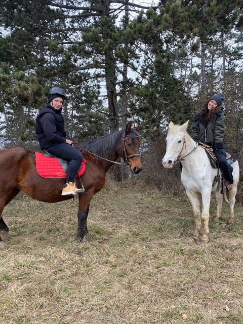 Horseback riding tour near Prague - Optional lake time and swimming with horses in hot weather
