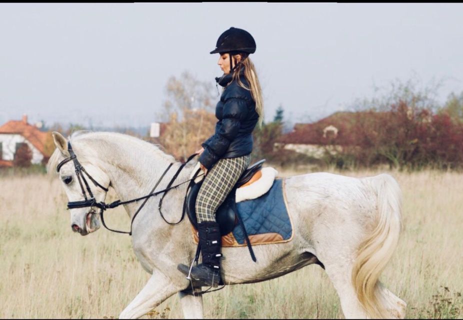 Horseback riding tour near Prague - Bitless riding and strict horse care: why it matters to you