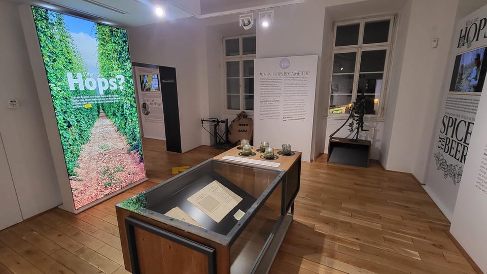 Prague: Beer Museum Tour with Tasting and Beer Bottling - Who this Beer Museum Tour is best for