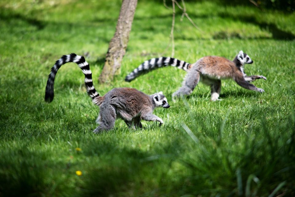Prague: Boat Ride to the Zoo and Admission Ticket - The Zoo’s Main Areas: 12 Pavilions and Big Animal Variety