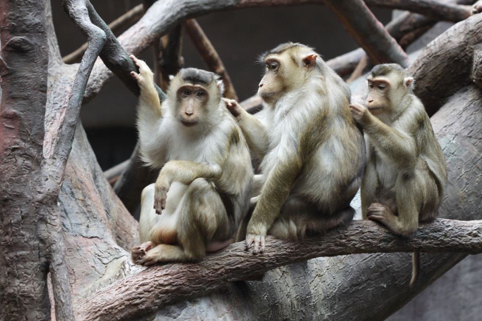 Prague: Boat Ride to the Zoo and Admission Ticket - Who This Tour Fits Best (and Who Might Skip It)