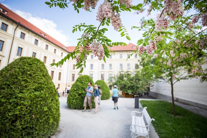 Prague Castle and Canal River Boat Tour - Prague Castle grounds and St. Vitus Cathedral: what you get in 3 hours