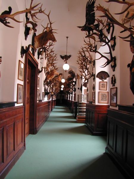 Prague: Karlštejn Castle Guided Tour with Entry Ticket - Pickup rules that can save you stress