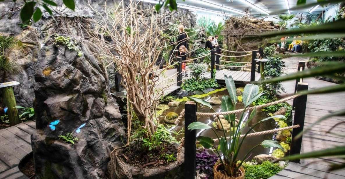 Prague: Papilonia Butterfly House - Papilonia Butterfly House Prague: What Makes It Different