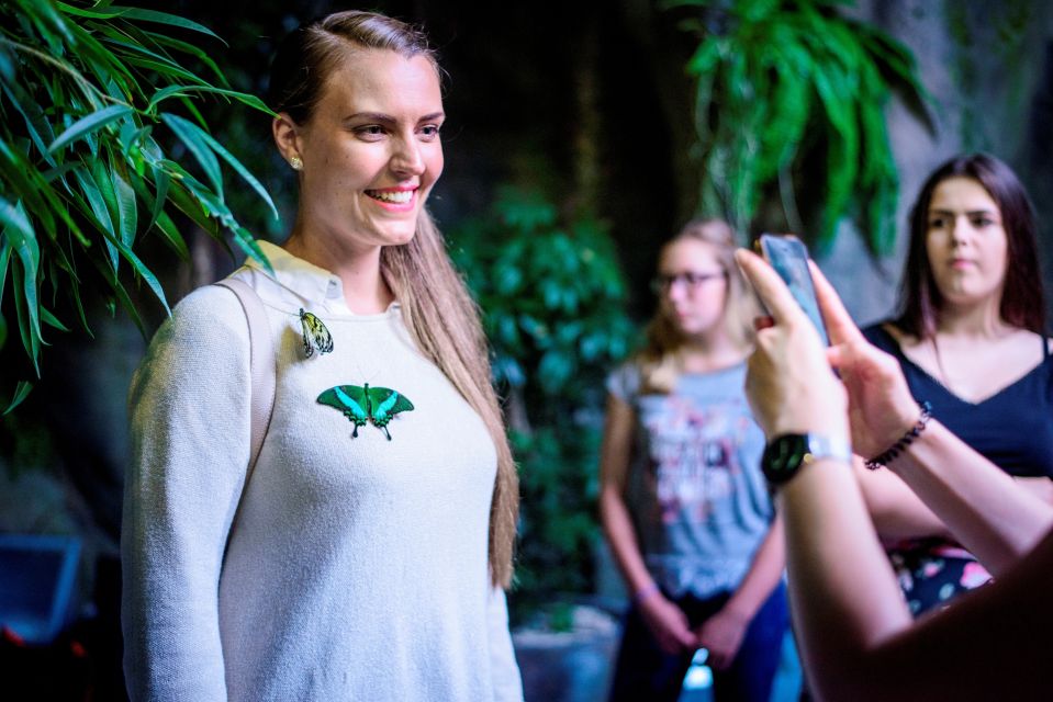 Prague: Papilonia Butterfly House - Inside the Ecosystem: What the Flight Zone Feels Like