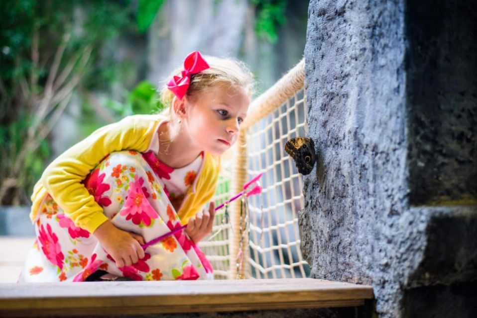 Prague: Papilonia Butterfly House - Price and Value: Is $9 Worth It in Prague?