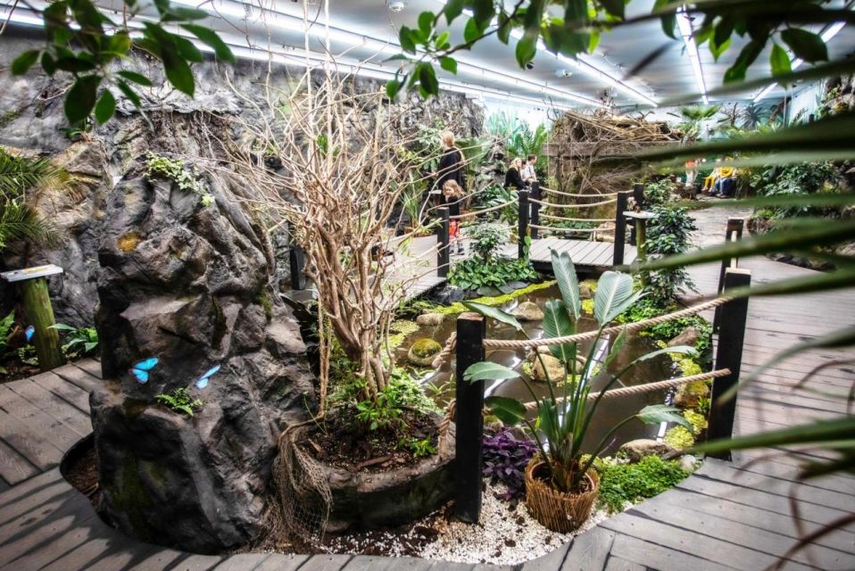Prague: Papilonia Butterfly House - Best for Families, Butterfly Lovers, and Patient Photographers