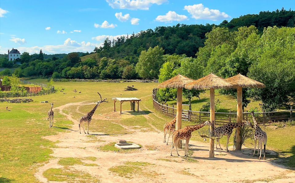 Prague: Prague Zoo Audio Guide with E-Ticket - Potential downsides: internet dependence and navigation quirks