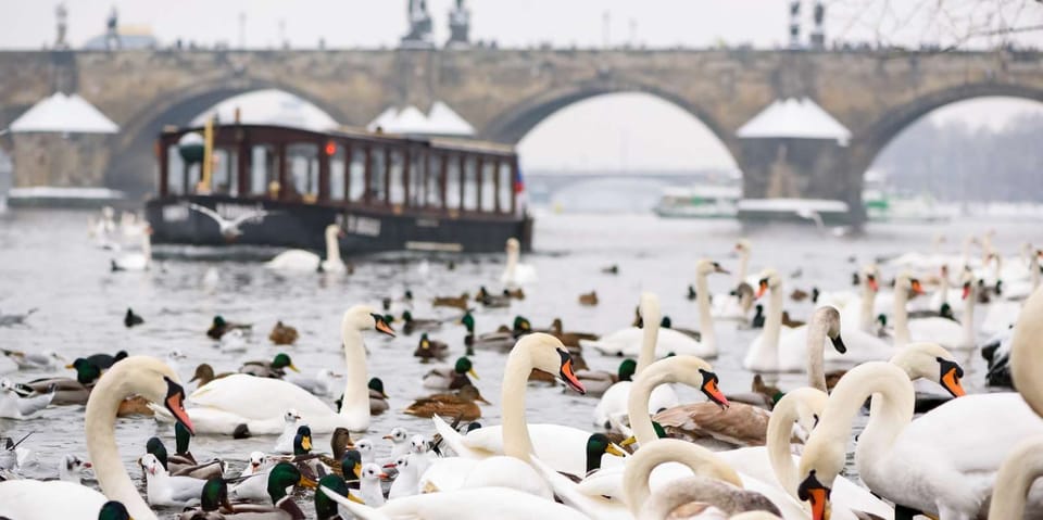 Prague: River Cruise, Charles Bridge Museum, & Walking Tour - Charles Bridge + Devil’s Channel: the smart way to cover Prague’s icons fast