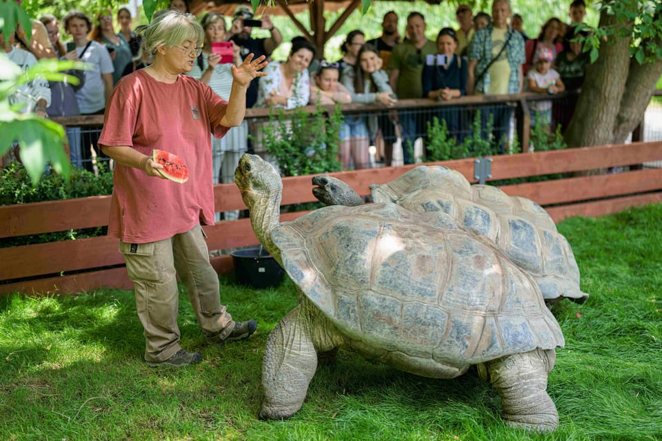 Prague Zoo: Skip-the-Line Entry Ticket - 6 Key Things to Know Before You Go to Prague Zoo