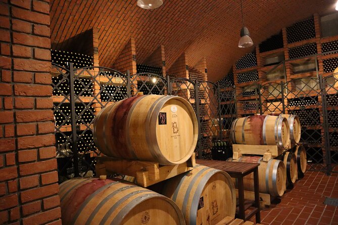 Prague´s Hidden Vineyards Private Tour - Cozy Terrace Tasting with Local Cheese Pairing